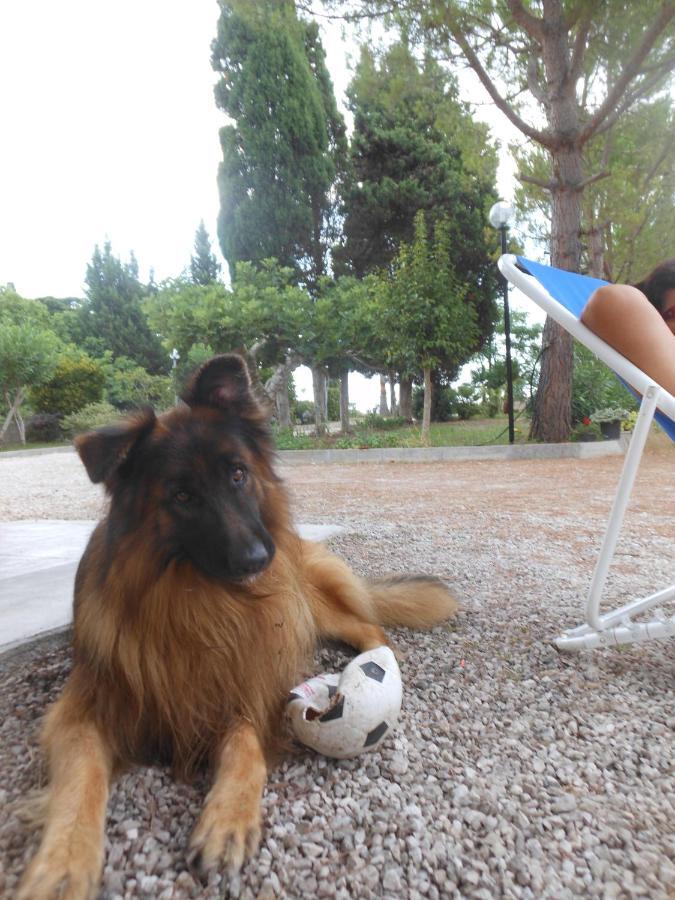 Case Barone Di Muro Torre dell'Orso Dış mekan fotoğraf